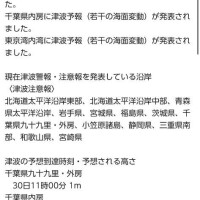 みみ