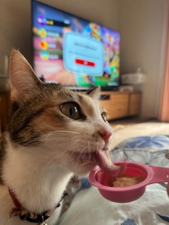 しばらくお休み