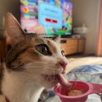 しばらくお休み