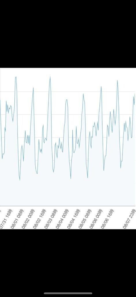 昨日は完売ありがとう??