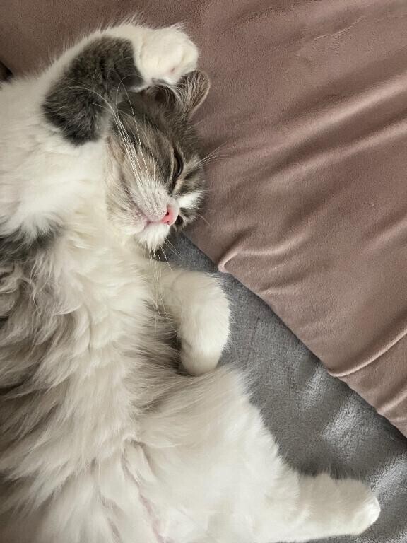 ?5日間ありがとうございました??