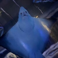 花粉すぎる！！