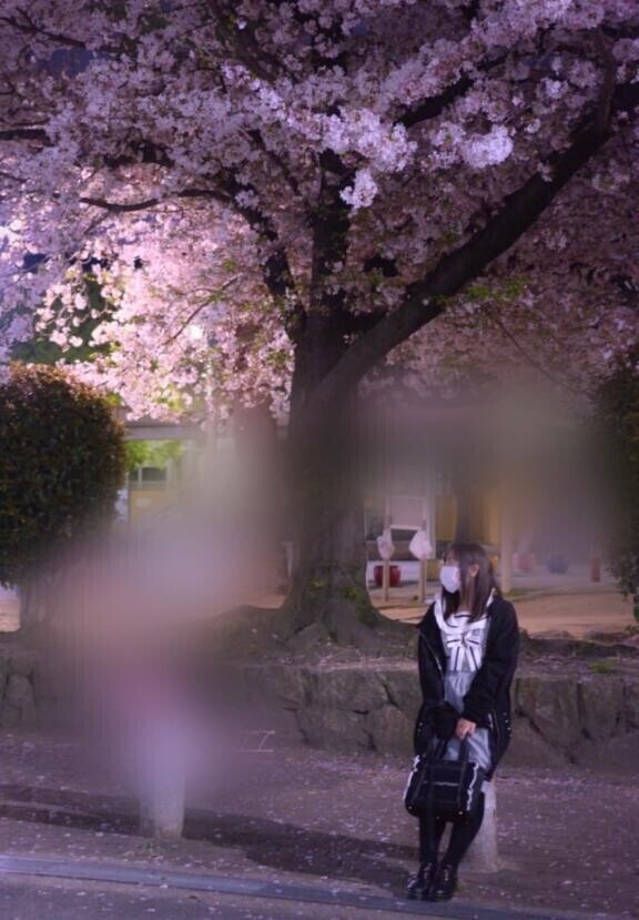 ??春のはじまり??