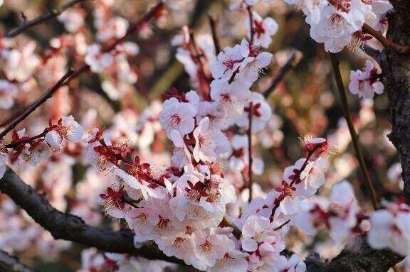 ご無沙汰です！