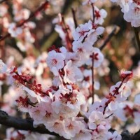 ご無沙汰です！