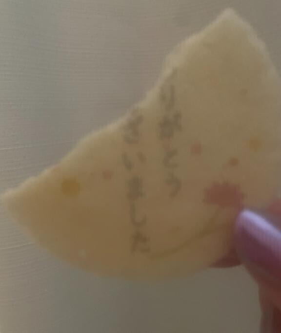 ごちそうさまです…?