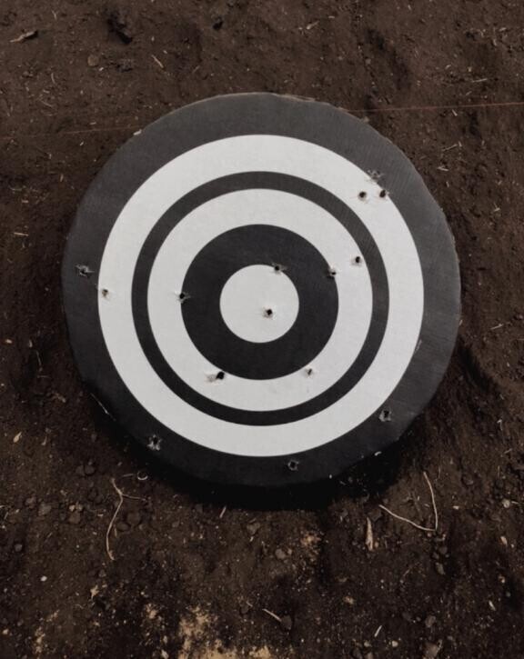 まめができました?