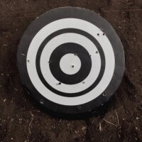 まめができました?