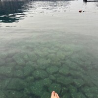 やっと会える( ??? )