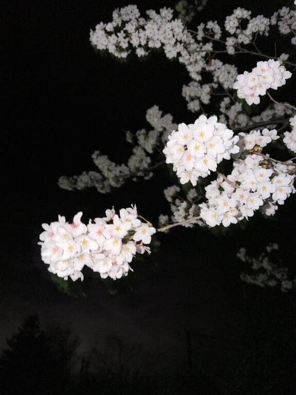 日程変更してます?