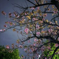 強くなりたい。。