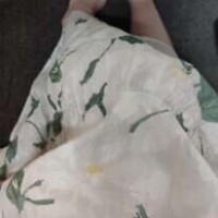 藤原きょうこ