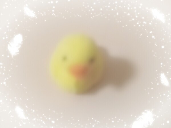 ピヨコちゃん
