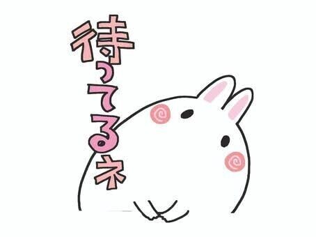 こんにちわ