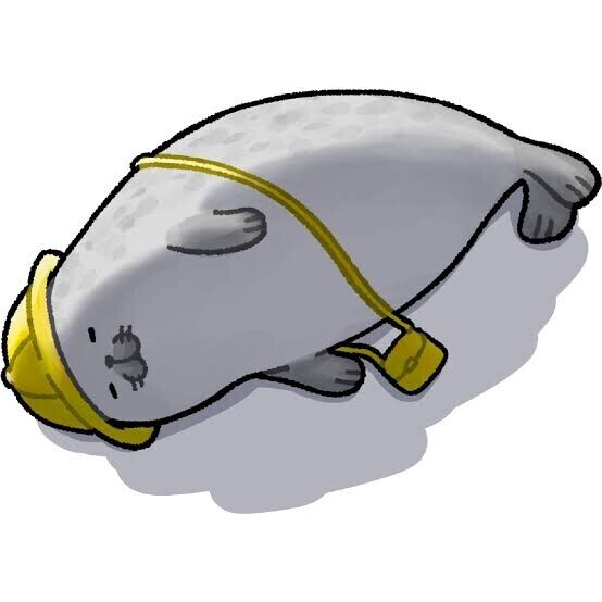 文化の違い