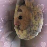 水無月　こゆき