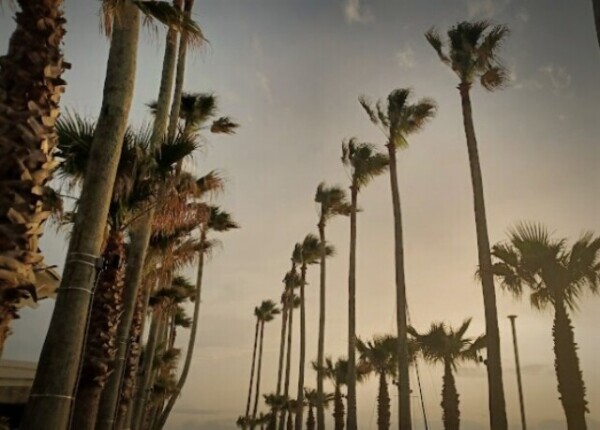 summer