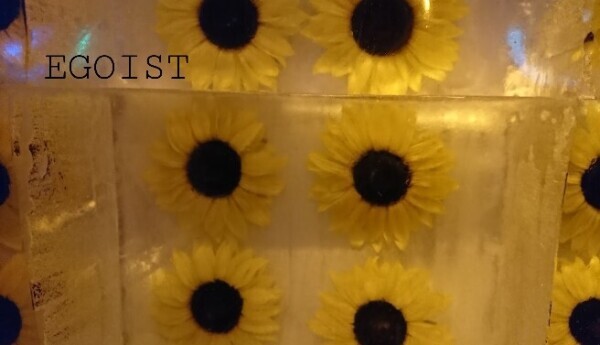 🌻summer🌻☔