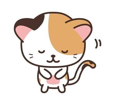 こんにちわ