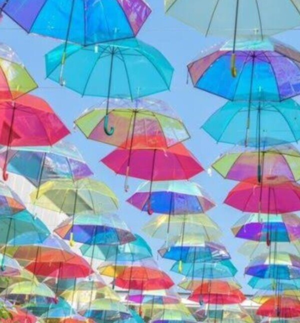 雨だねぇ