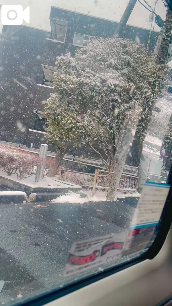 こんな寒い日は…♥️❄️