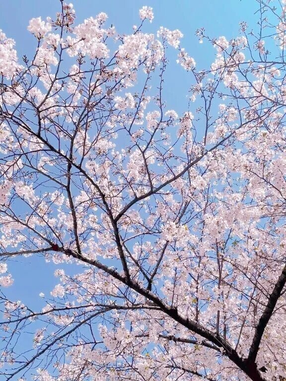 出会いは突然に。そして別れも突然に。