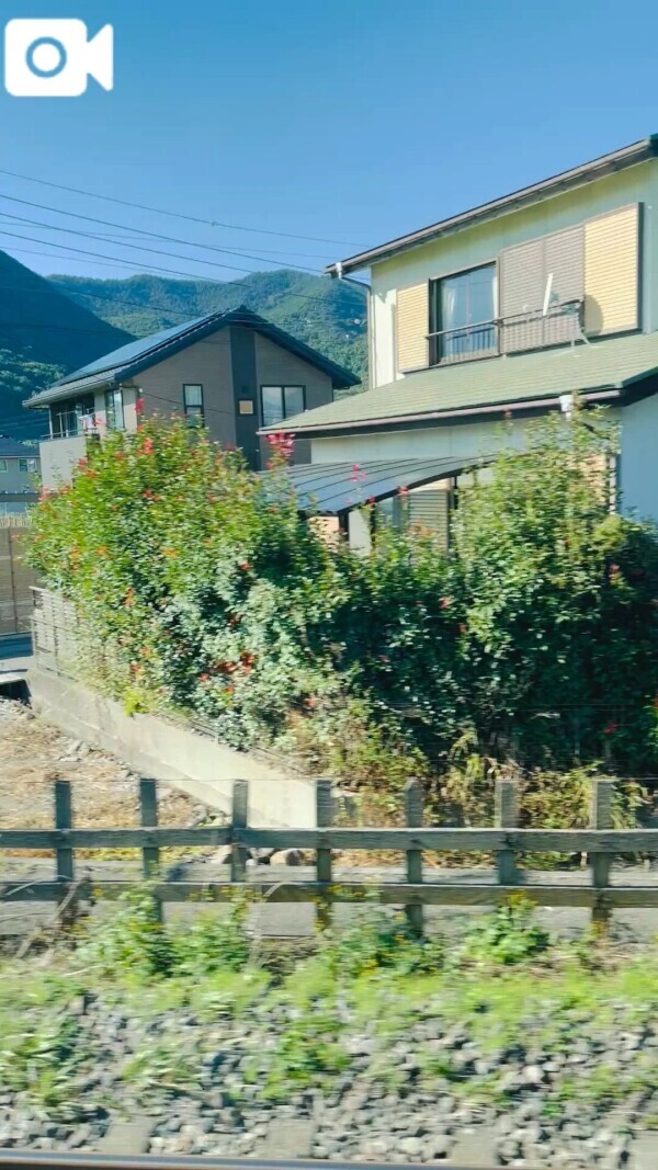 毎日頑張ってるみんなは偉い❤︎