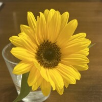 さやか