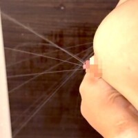 じぇしか