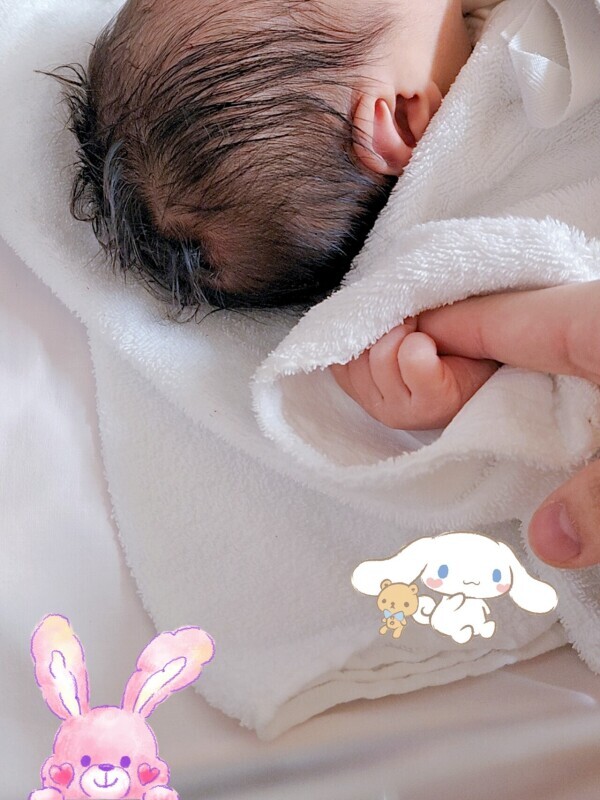 ✨️近日復活✨