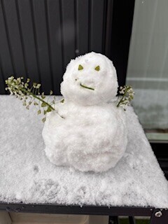 お久しぶりです⭐︎