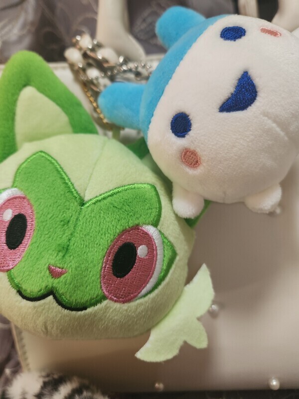 ひょこ👀💕