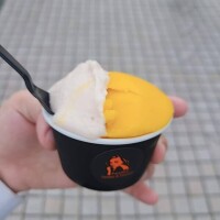かよ