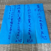 れんか