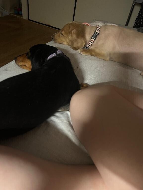 おはよん💗
