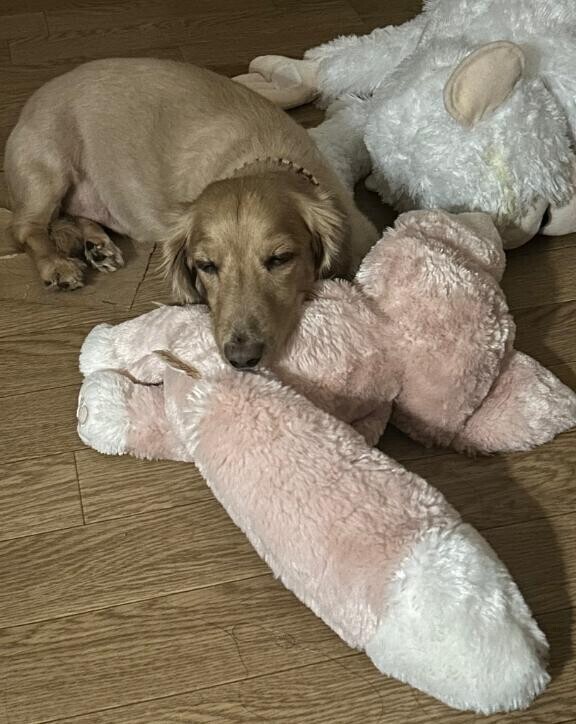 おはよん💗