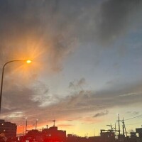 しほ