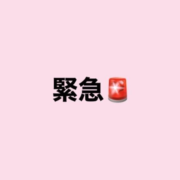 急げ💨