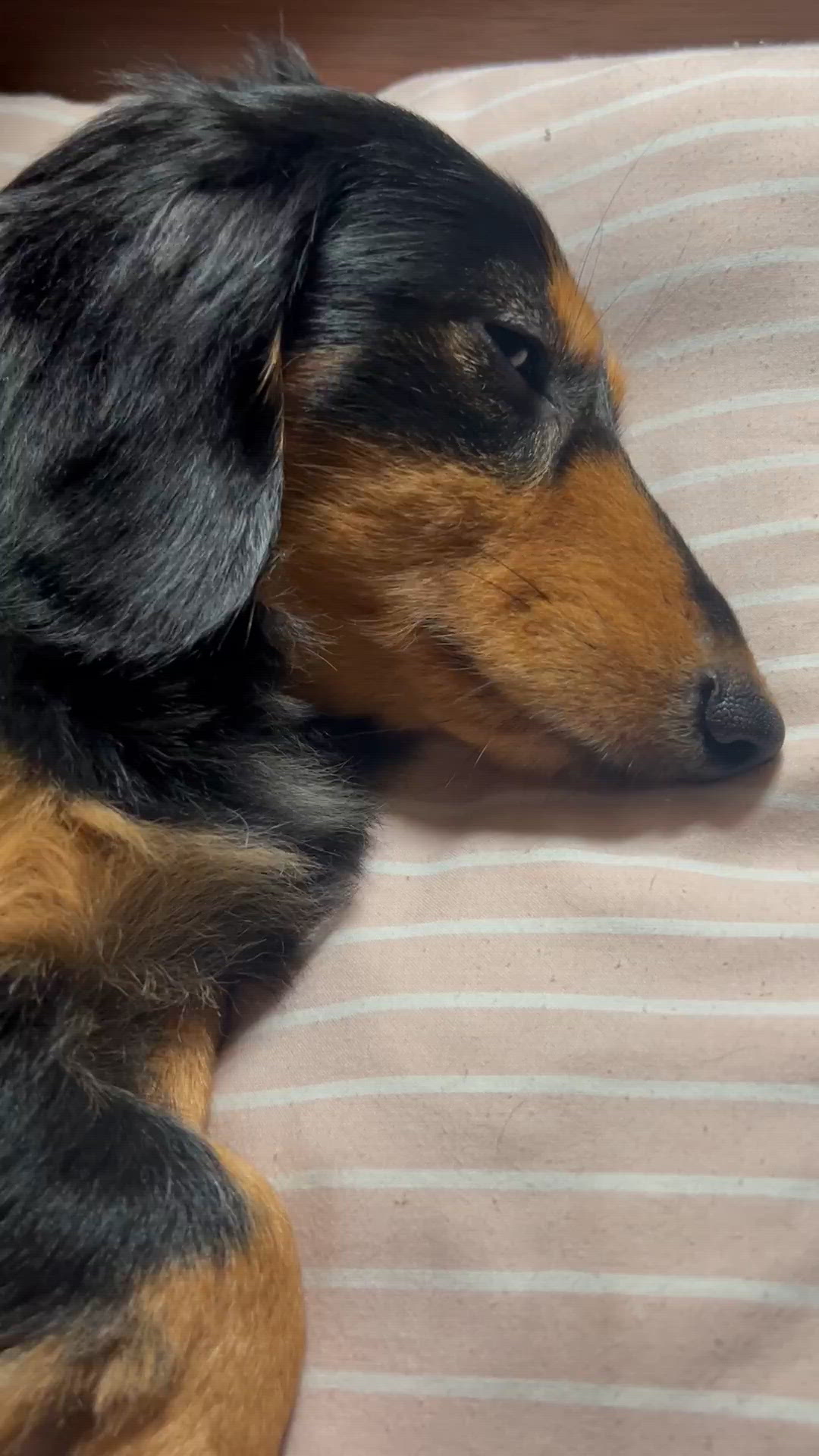 うとうと…