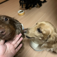 あすか
