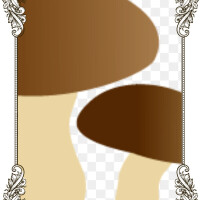 いろ