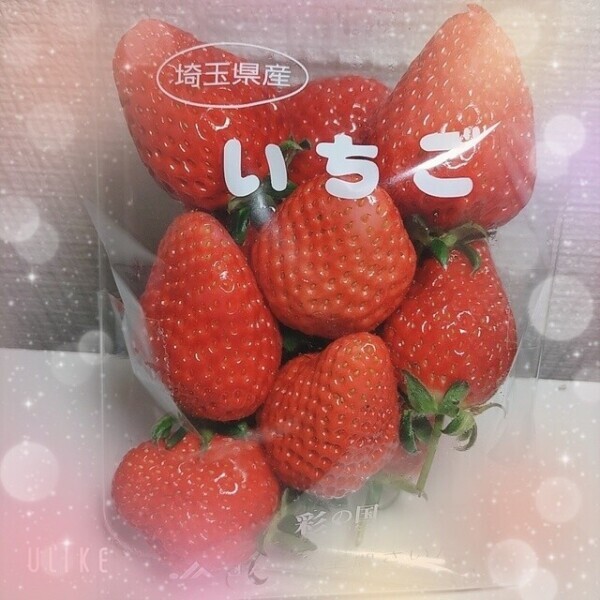 お礼日記♡