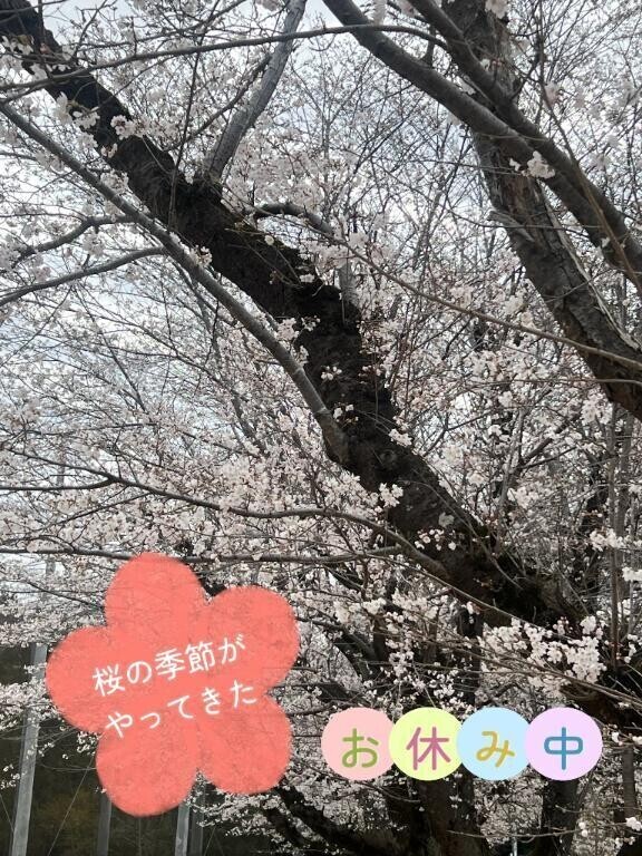 ハーフ休憩