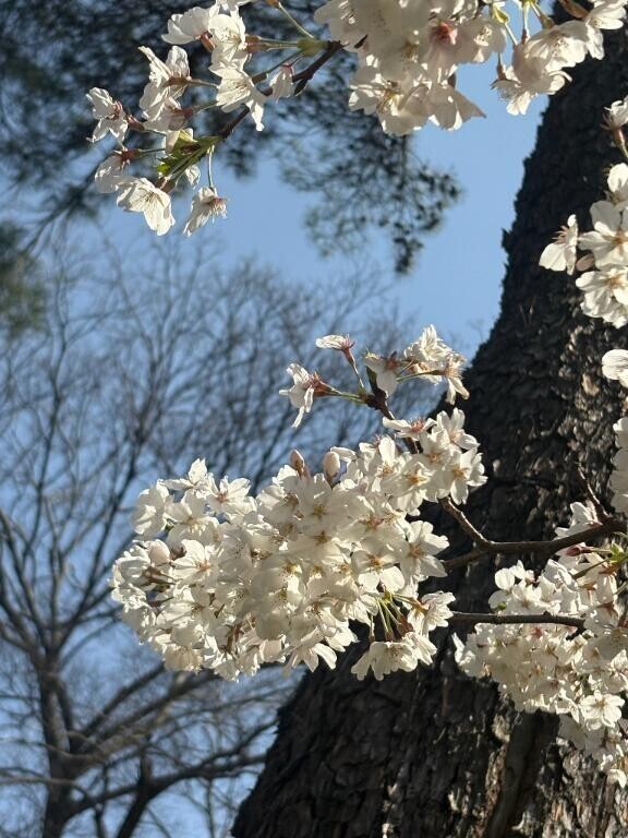なつこ    来週リクエスト❤️