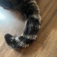 かおる