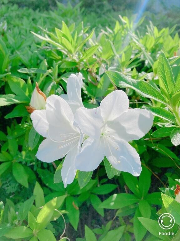こんにちは🙇‍♀️