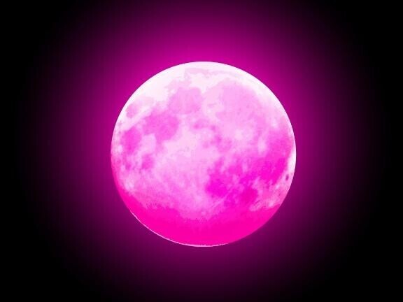 今日はまったり🌙