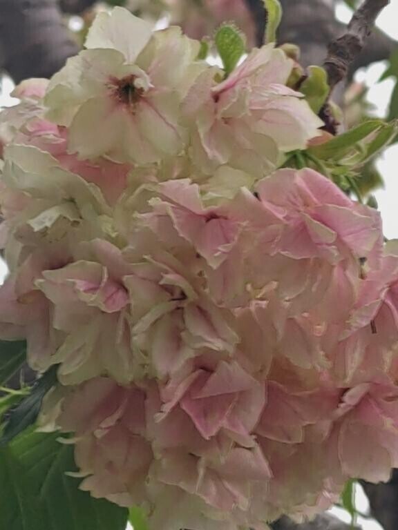 口コミありがとうございます♡
