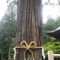 しづき
