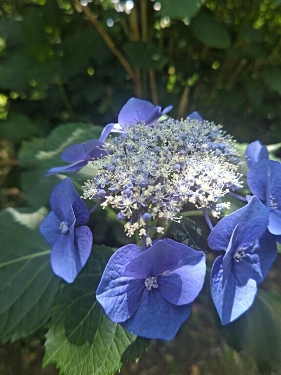 7月26日 ♡